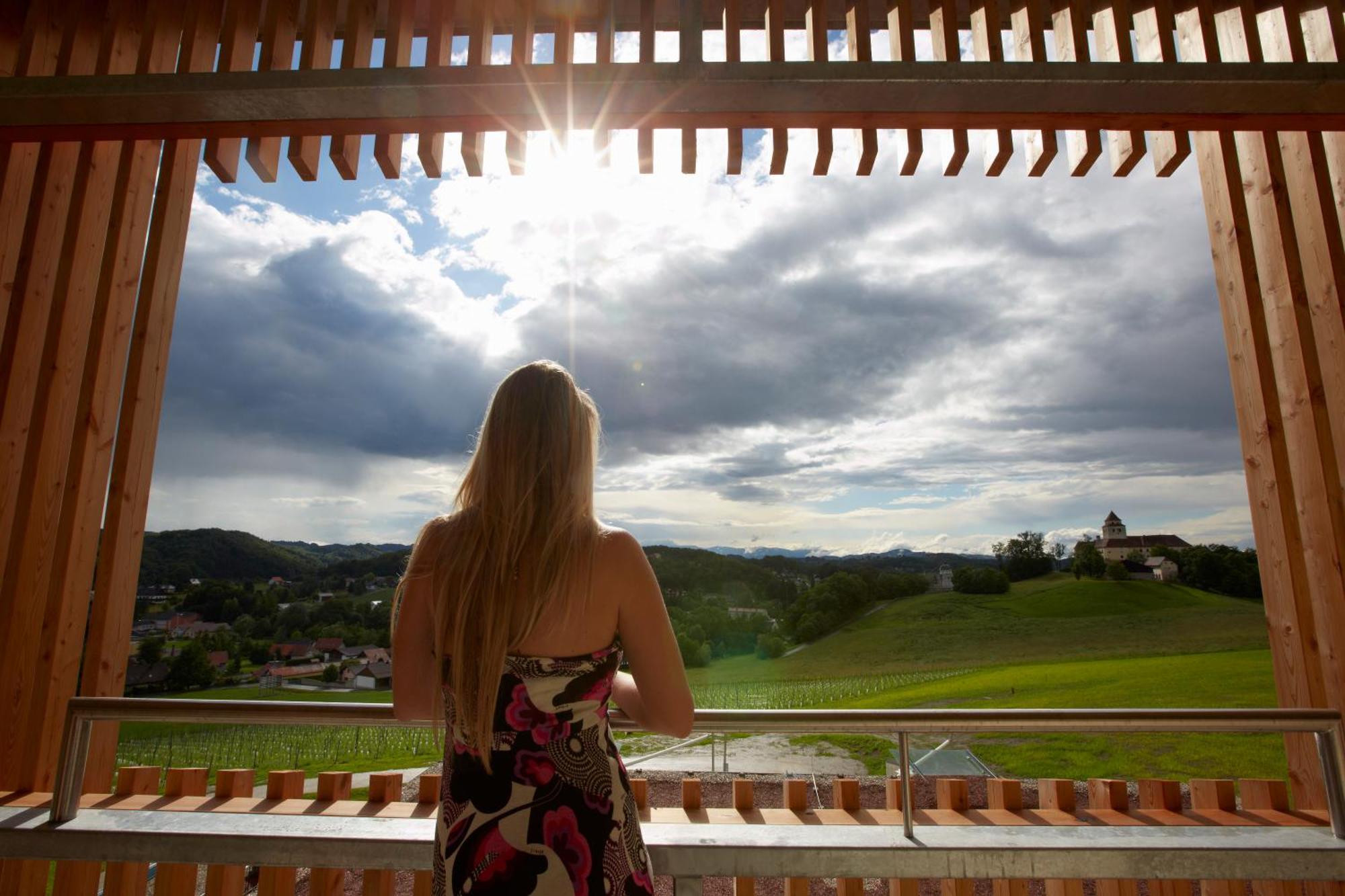 Loisium Wine & Spa Hotel Suedsteiermark Ehrenhausen Exteriér fotografie