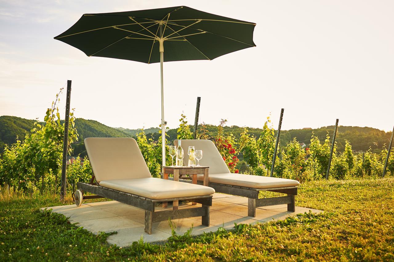 Loisium Wine & Spa Hotel Suedsteiermark Ehrenhausen Exteriér fotografie