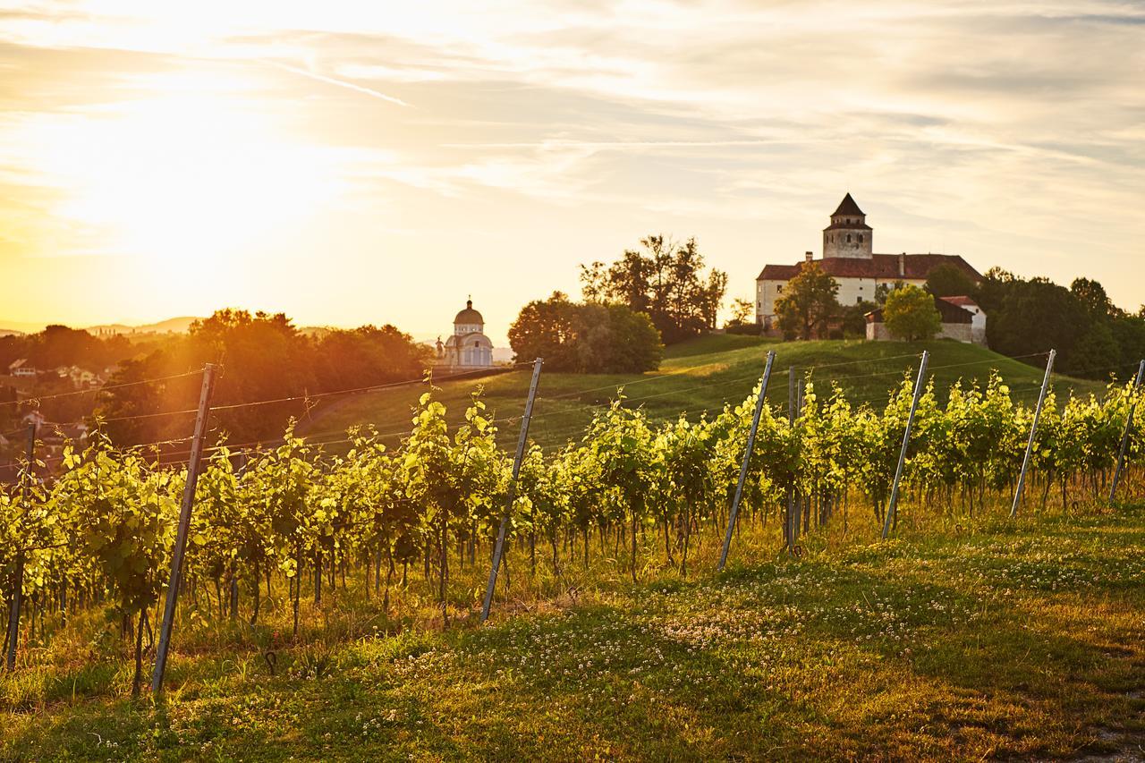 Loisium Wine & Spa Hotel Suedsteiermark Ehrenhausen Exteriér fotografie